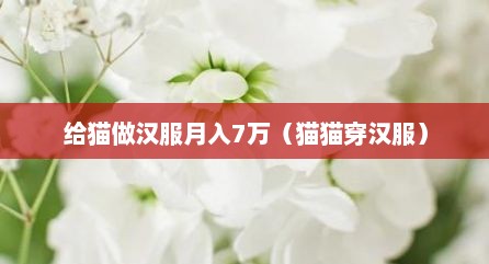 给猫做汉服月入7万（猫猫穿汉服）