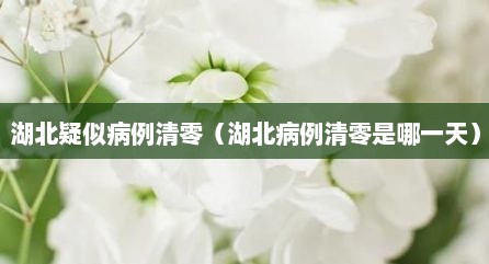 湖北疑似病例清零（湖北病例清零是哪一天）