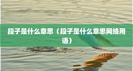 段子是什么意思（段子是什么意思网络用语）