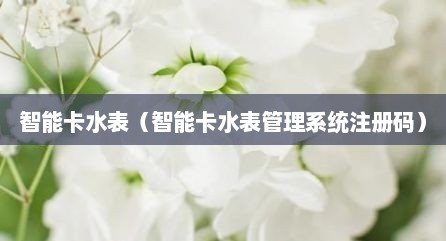 智能卡水表（智能卡水表管理系统注册码）