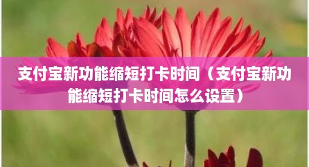 支付宝新功能缩短打卡时间（支付宝新功能缩短打卡时间怎么设置）