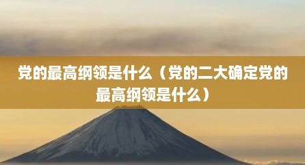 党的最高纲领是什么（党的二大确定党的最高纲领是什么）