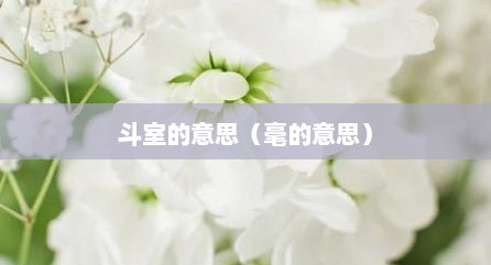 斗室的意思（毫的意思）