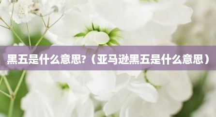 黑五是什么意思?（亚马逊黑五是什么意思）