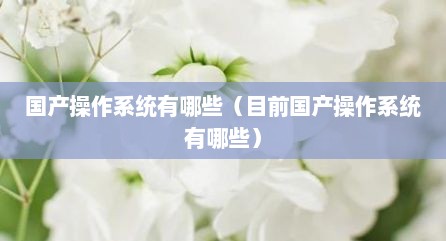 国产操作系统有哪些（目前国产操作系统有哪些）