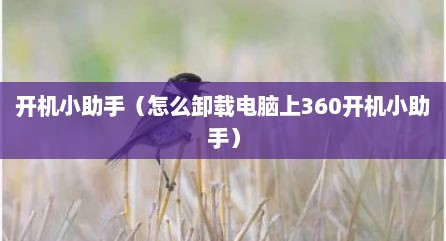 开机小助手（怎么卸载电脑上360开机小助手）