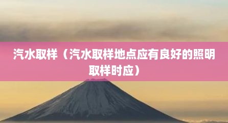 汽水取样（汽水取样地点应有良好的照明取样时应）