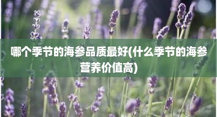 哪个季节的海参品质最好(什么季节的海参营养价值高)