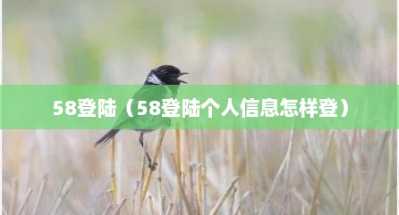 58登陆（58登陆个人信息怎样登）