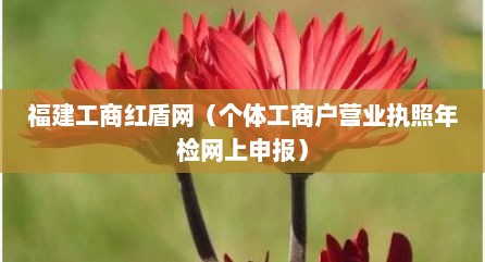 福建工商红盾网（个体工商户营业执照年检网上申报）