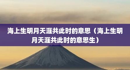 海上生明月天涯共此时的意思（海上生明月天涯共此时的意思生）