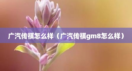 广汽传祺怎么样（广汽传祺gm8怎么样）