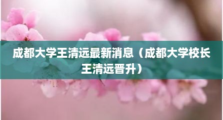 成都大学王清远最新消息（成都大学校长王清远晋升）