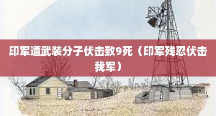 印军遭武装分子伏击致9死（印军残忍伏击我军）