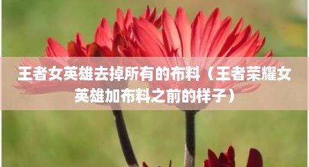 王者女英雄去掉所有的布料（王者荣耀女英雄加布料之前的样子）