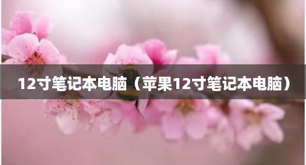 12寸笔记本电脑（苹果12寸笔记本电脑）