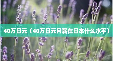 40万日元（40万日元月薪在日本什么水平）