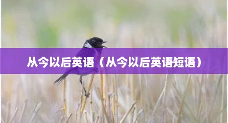 从今以后英语（从今以后英语短语）