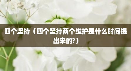 四个坚持（四个坚持两个维护是什么时间提出来的?）