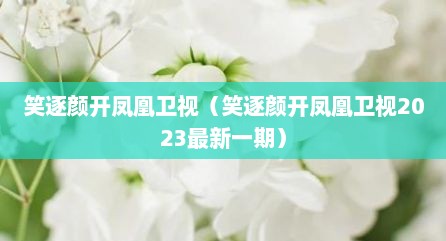 笑逐颜开凤凰卫视（笑逐颜开凤凰卫视2023最新一期）