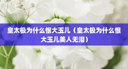 皇太极为什么恨大玉儿（皇太极为什么恨大玉儿美人无泪）