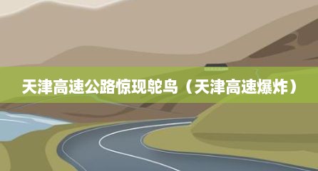 天津高速公路惊现鸵鸟（天津高速爆炸）