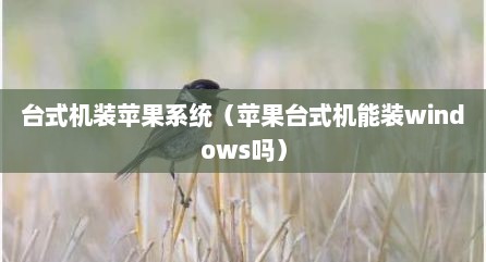 台式机装苹果系统（苹果台式机能装windows吗）