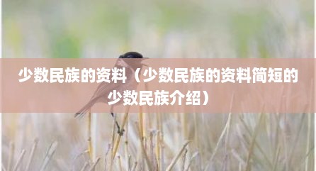 少数民族的资料（少数民族的资料简短的少数民族介绍）