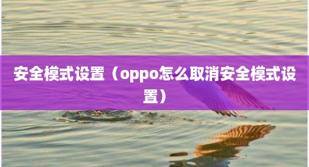 安全模式设置（oppo怎么取消安全模式设置）