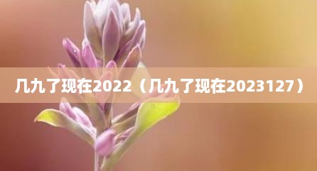 几九了现在2022（几九了现在2023127）