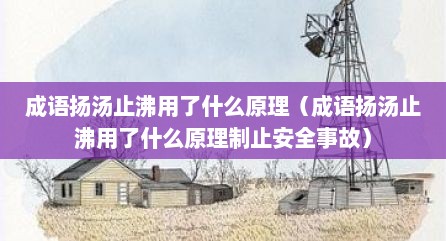 成语扬汤止沸用了什么原理（成语扬汤止沸用了什么原理制止安全事故）