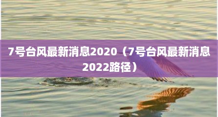 7号台风最新消息2020（7号台风最新消息2022路径）