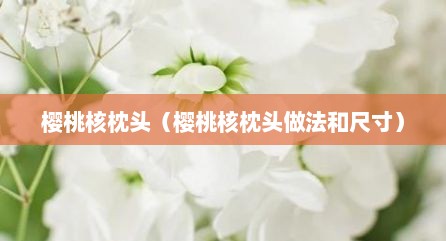 樱桃核枕头（樱桃核枕头做法和尺寸）