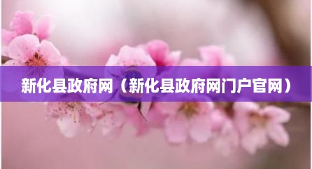 新化县政府网（新化县政府网门户官网）