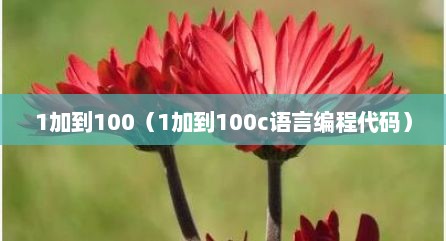 1加到100（1加到100c语言编程代码）