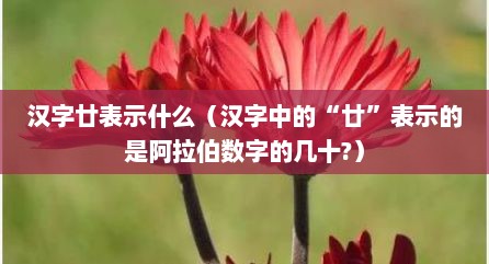 汉字廿表示什么（汉字中的“廿”表示的是阿拉伯数字的几十?）