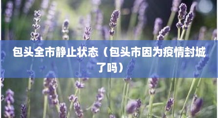 包头全市静止状态（包头市因为疫情封城了吗）