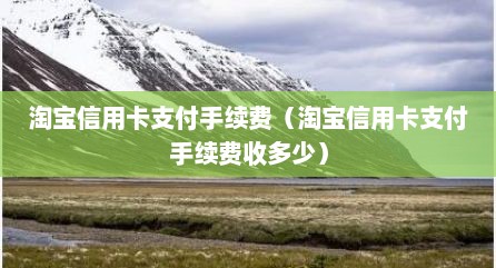 淘宝信用卡支付手续费（淘宝信用卡支付手续费收多少）