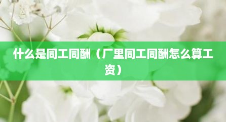 什么是同工同酬（厂里同工同酬怎么算工资）