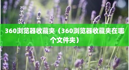 360浏览器收藏夹（360浏览器收藏夹在哪个文件夹）