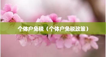 个体户免税（个体户免税政策）