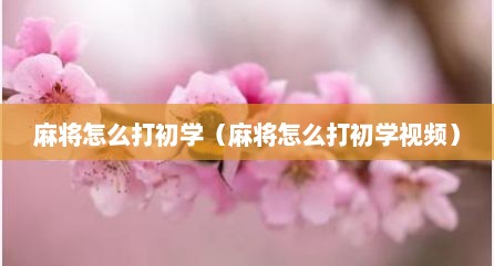 麻将怎么打初学（麻将怎么打初学视频）