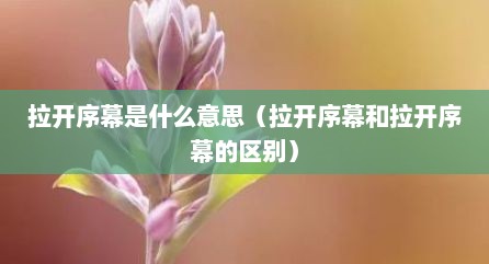 拉开序幕是什么意思（拉开序幕和拉开序幕的区别）