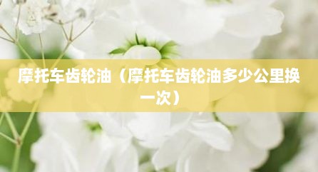 摩托车齿轮油（摩托车齿轮油多少公里换一次）