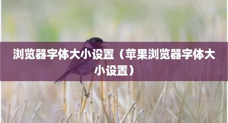 浏览器字体大小设置（苹果浏览器字体大小设置）