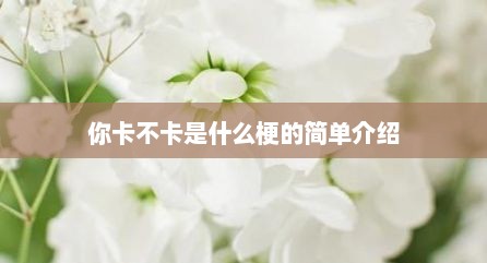 你卡不卡是什么梗的简单介绍