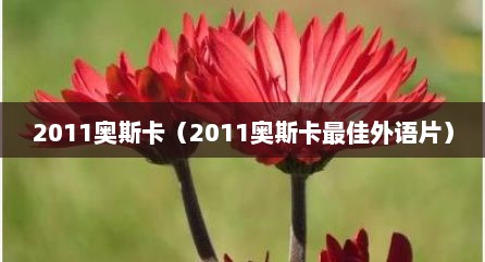 2011奥斯卡（2011奥斯卡最佳外语片）