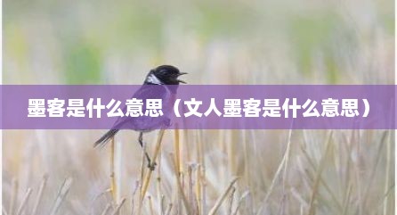 墨客是什么意思（文人墨客是什么意思）