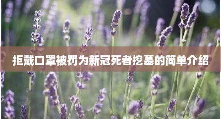 拒戴口罩被罚为新冠死者挖墓的简单介绍