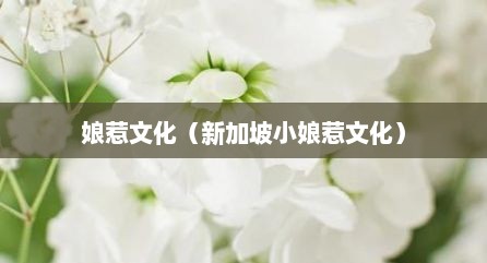 娘惹文化（新加坡小娘惹文化）